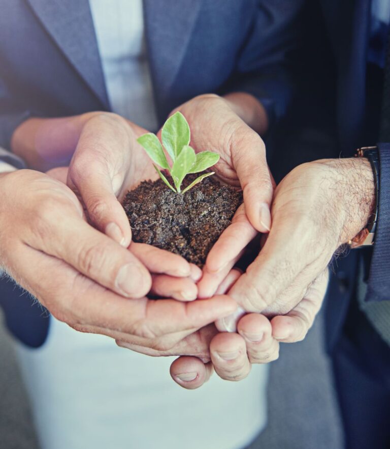 Mehrere Hände halten Erde und eine Pflanze